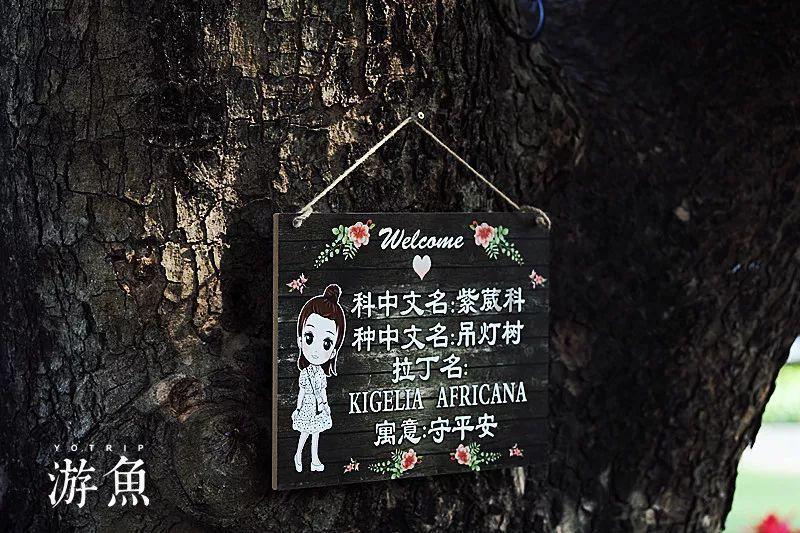 跳出深坑